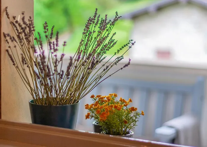 Bellagio Charming Countryside Apartment